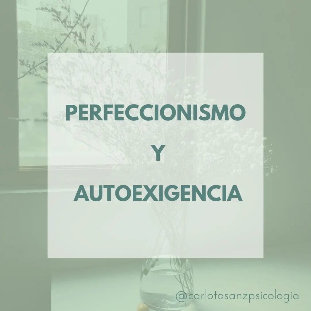 289178625 1378647909213874 5548409485820196005 n Perfeccionismo y autoexigencia