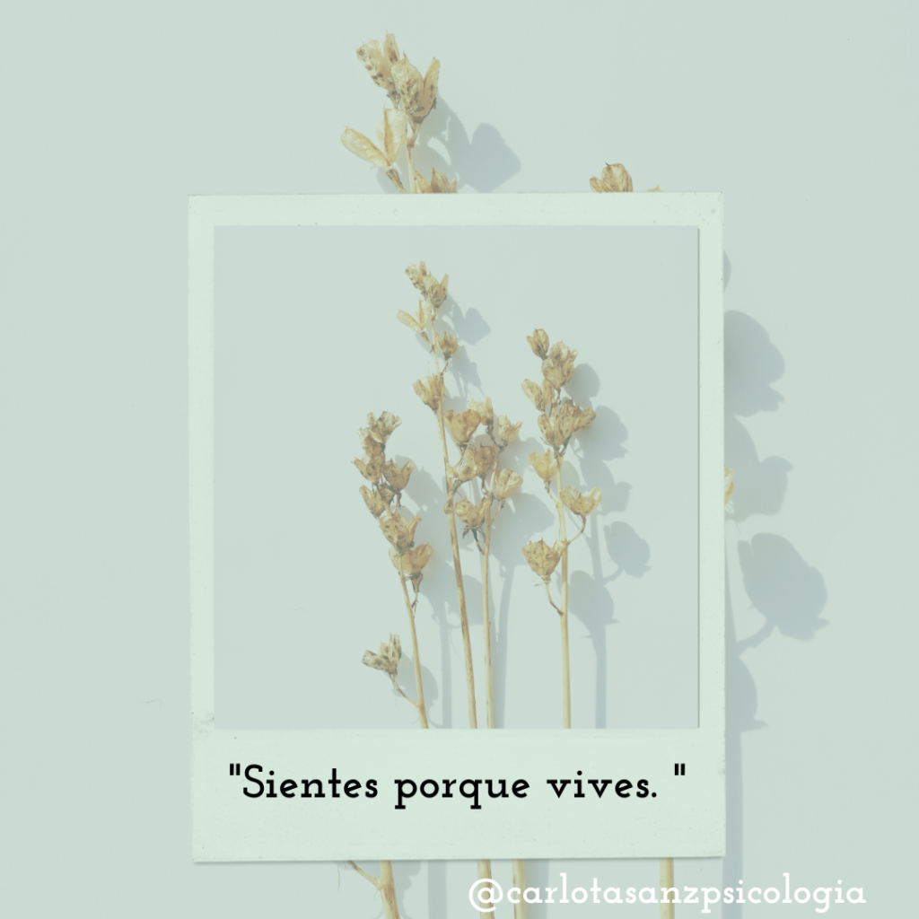 1 4 El dolor también me cuenta cosas